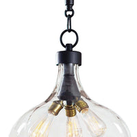 Regina Andrew - 16-1102 - Three Light Pendant - Demi John - Clear