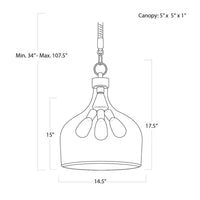 Regina Andrew - 16-1102 - Three Light Pendant - Demi John - Clear
