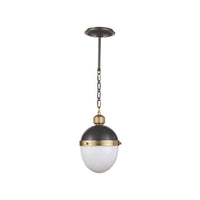 Regina Andrew - 16-1117BBNB - One Light Pendant - Otis - Blackened Brass