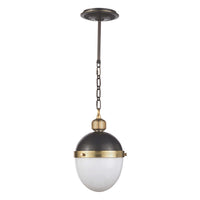 Regina Andrew - 16-1117BBNB - One Light Pendant - Otis - Blackened Brass