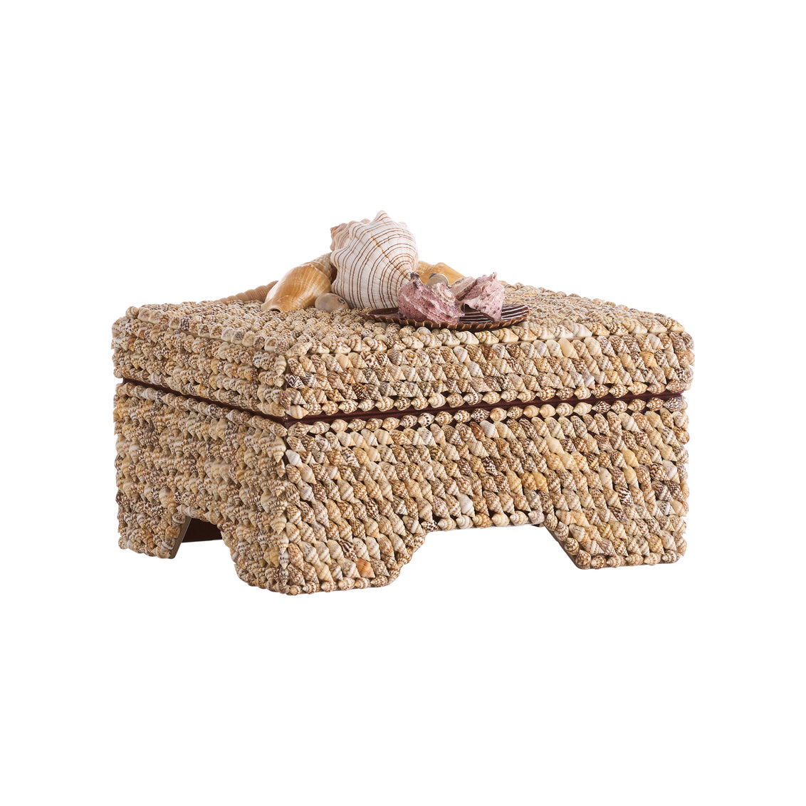 Chelsea Mi Shell Chelsea House Island Shell Box – Design Shop By Shell