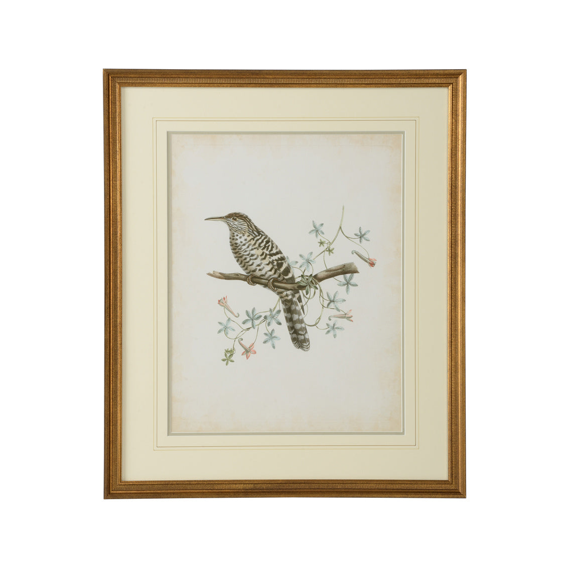 Chelsea House Delicate Birds IV