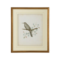 Chelsea House Delicate Birds IV