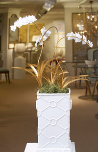 Chelsea House Orchid Stem (Med)
