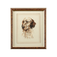 Chelsea House Danchin Setter