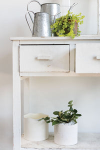 Design Shop White Delphi Pot, 6.5" X 6".