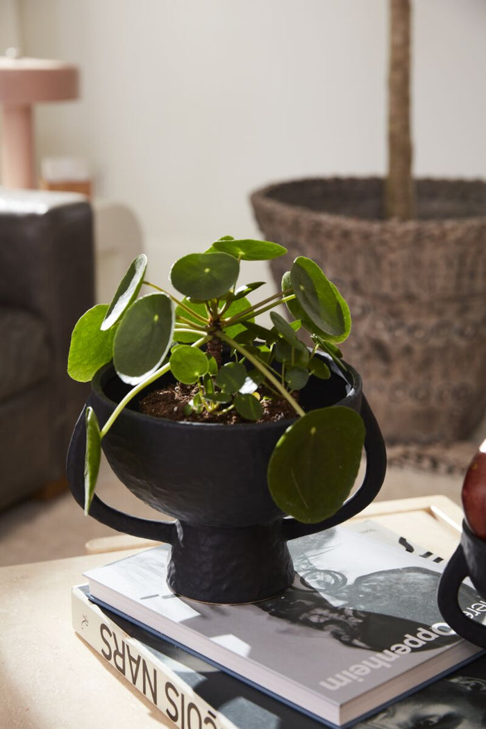 Small potted plant on a table with a book underneath