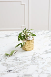 Design Shop Gold Architect Collection Pot, 4.75" X 4".