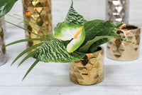 Design Shop Gold Architect Collection Pot, 4.75" X 4".