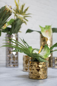 Design Shop Gold Architect Collection Pot, 4.75" X 4".