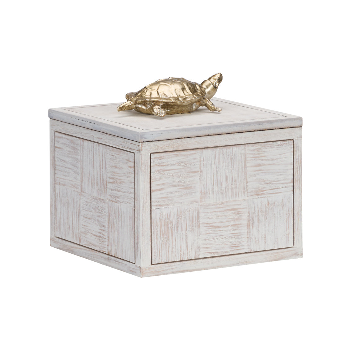 Wildwood Tortoise Box (Lg) – Design Shop By Shell