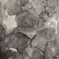 Wildwood Bolle Lamp - Gray
