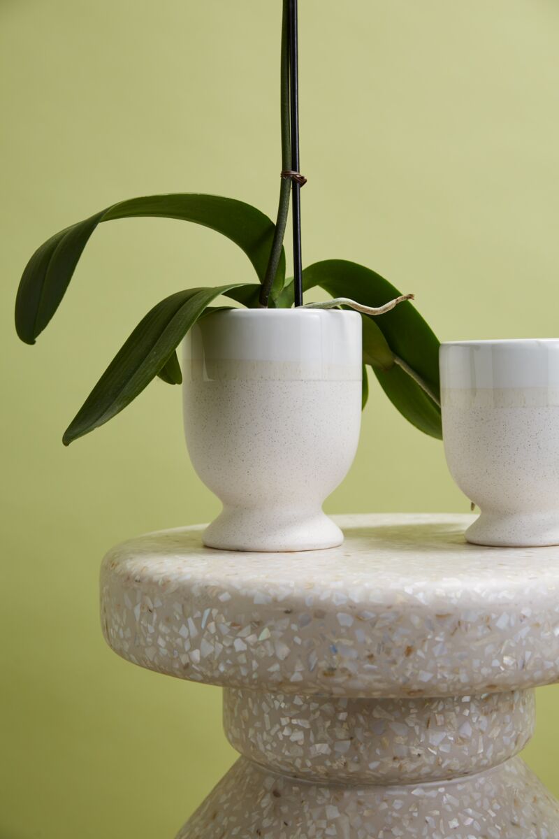 Design Shop White Laney Vase, 5" X 6.5"