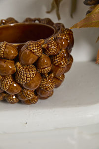 Design Shop Acorn Pot 8.75"x 5.5"