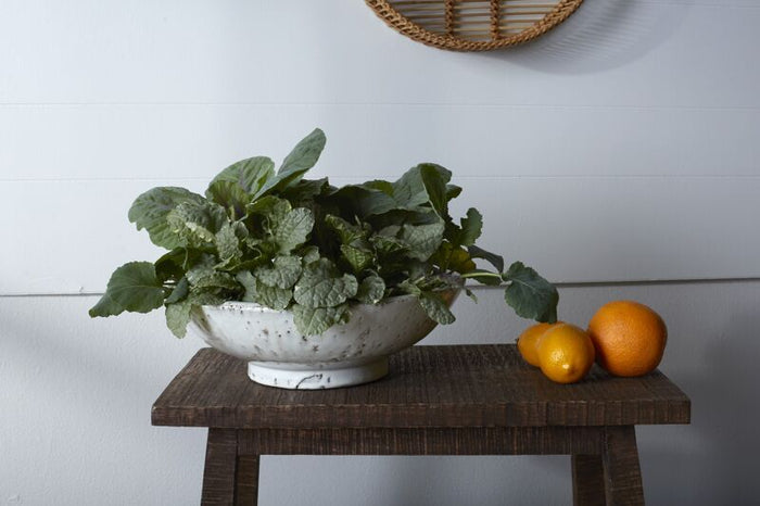 Design Shop White Divvy Bowl, 12" X 3.75"