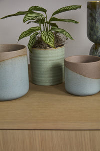 Design Shop Green Roux Pot, 4.5" X 4.5", Set of 4.