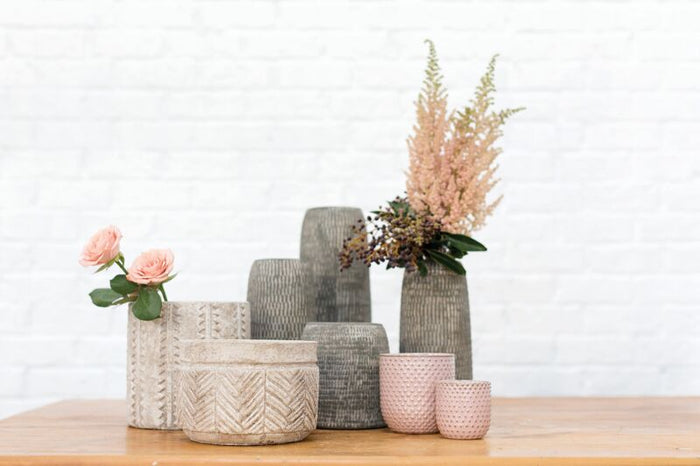 Set of decorative pots with plants on a wooden surface against a white background