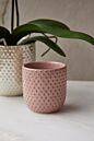 Design Shop Everly Pot 4"x 4", Set of 4