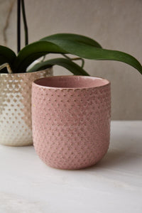 Design Shop Everly Pot 5"x 5.5", Set of 2