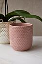 Design Shop Everly Pot 5"x 5.5", Set of 2