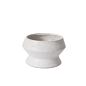 Design Shop Theo Compote 9.5"x 6"