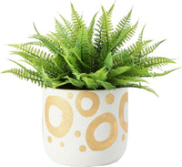 Design Shop White Stoneware Planter with Gold Design 6"
