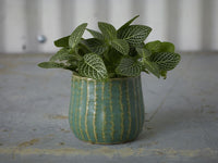 Design Shop Green Palmero Collection Pot, 3" X 2.75", Set of 4.