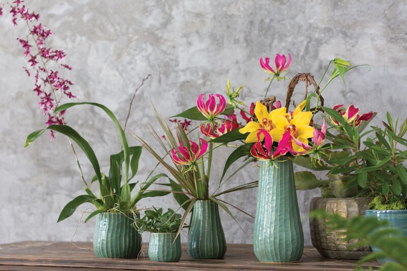 Design Shop Green Palmero Collection Pot, 3" X 2.75", Set of 4.