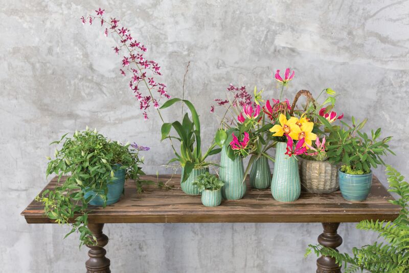 Design Shop Green Palmero Collection Pot, 5" X 4.75".