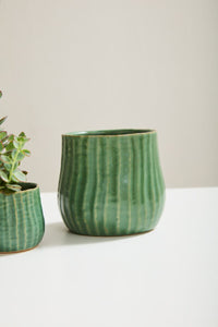 Design Shop Green Palmero Collection Pot, 5" X 4.75".