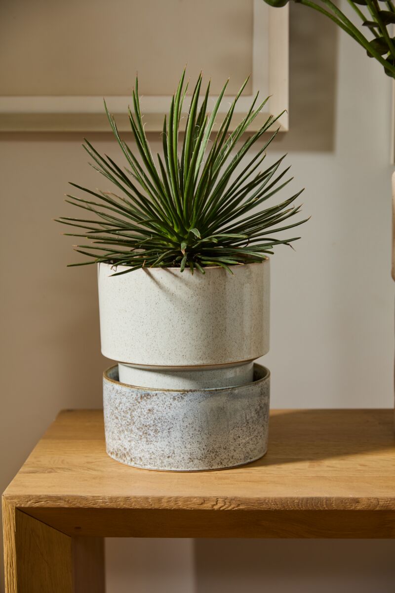 Design Shop Off-White Endeavor Pot with Saucer, 8.5" X 9.75"