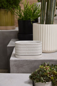 Design Shop Zelle Planter with Saucer 8"x 4"x 4.5"