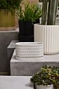Design Shop Zelle Planter with Saucer 8"x 4"x 4.5"