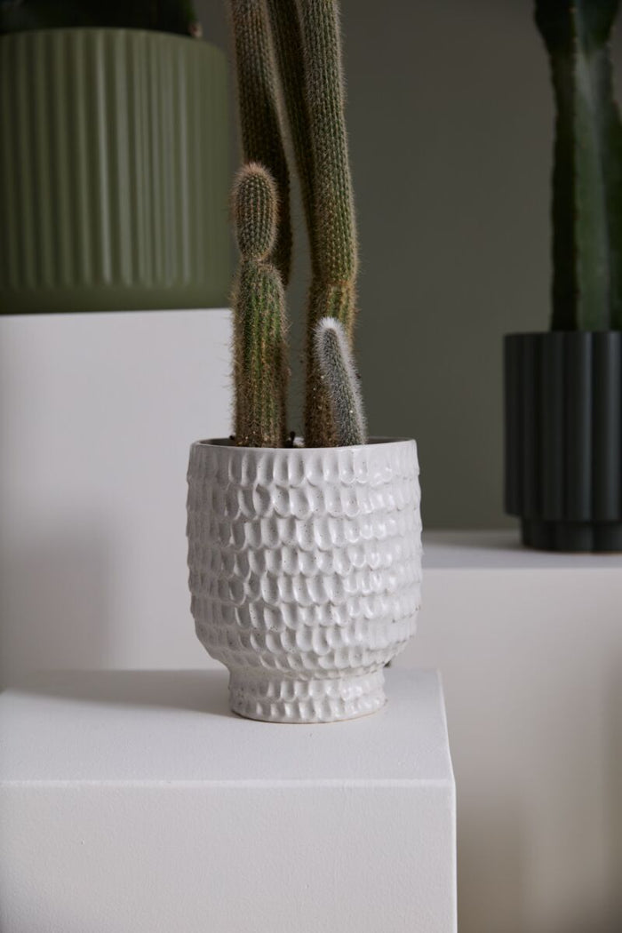 Design Shop Off-White Adrien Pot, 6.75" X 7.75", Set of 2.