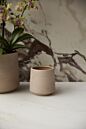 Design Shop Luciana Pot 4"x 4.25", Set of 4