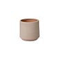Design Shop Luciana Pot 5.25"x 5", Set of 2
