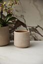 Design Shop Luciana Pot 5.25"x 5", Set of 2