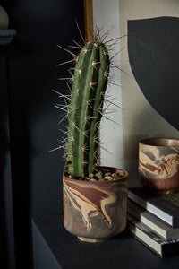 Design Shop Brown Tedros Pot, 6.5" X 6.5".