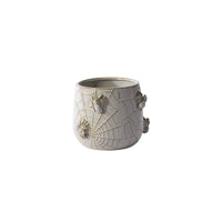 Design Shop House Spider Pot 6"x 5.25"