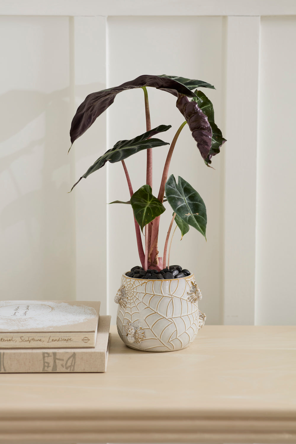 Design Shop House Spider Pot 6"x 5.25"