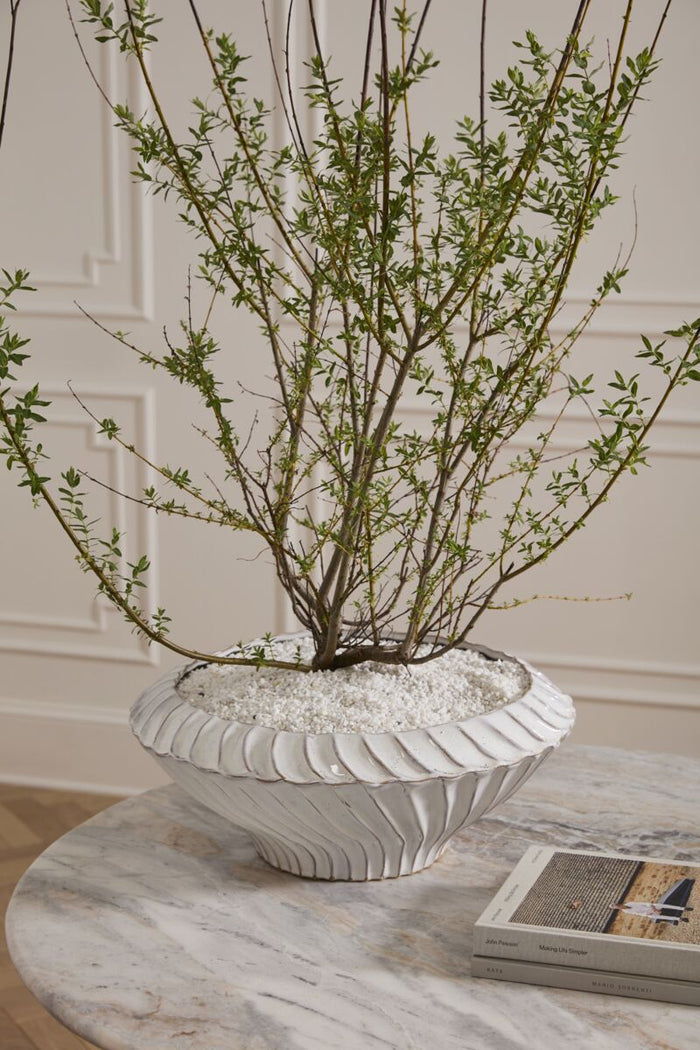 Decorative plant in a textured white pot on a marble surface with a neutral background