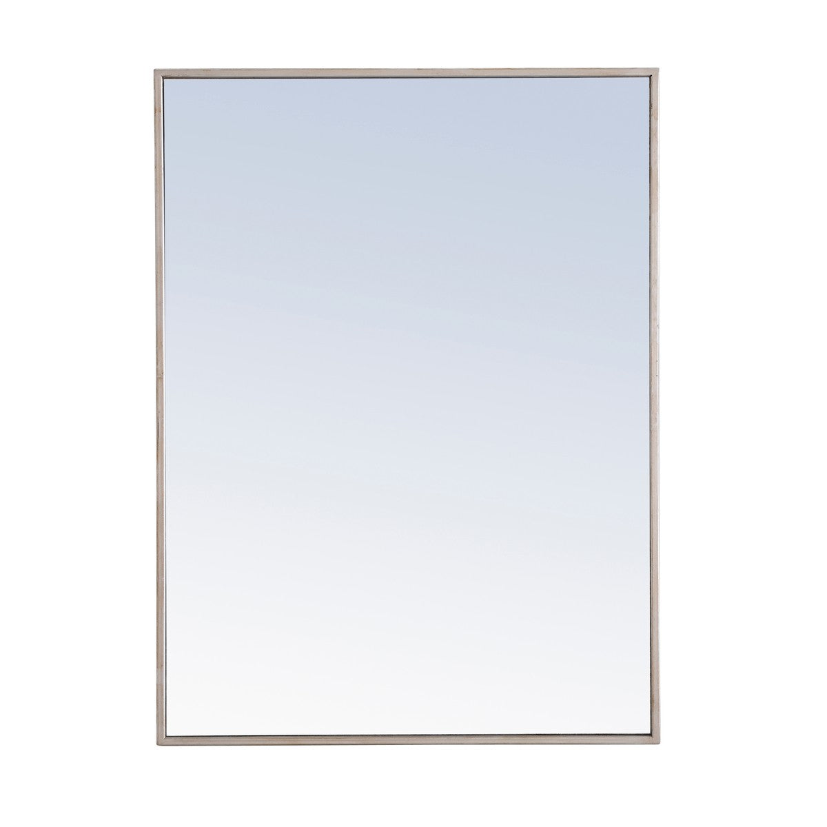 Elegant Lighting - MR4073S - Mirror - Monet - Silver