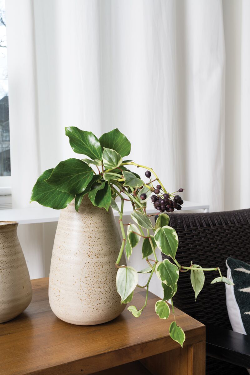 Design Shop Tan Nema Vase, 6.25" X 10.25".