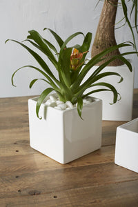 Design Shop White Urban Square, 4.75" X 4.75".