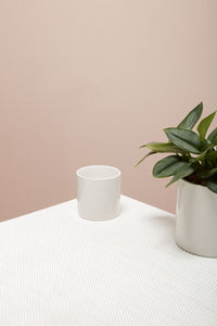 Design Shop White Cercle Pot, 4.25" X 4.25".