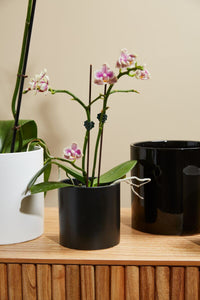 Design Shop Matte-Black Cercle Pot, 4.25" X 4.25".