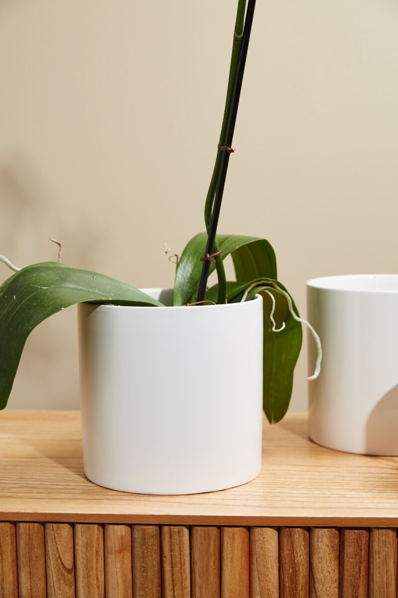 Design Shop Cercle Pot 6.5"x 6.25"