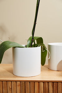 Design Shop Cercle Pot 6.5"x 6.25"