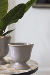 Design Shop Cara Compote 6"x 5.5"