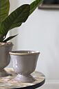 Design Shop Cara Compote 6"x 5.5"